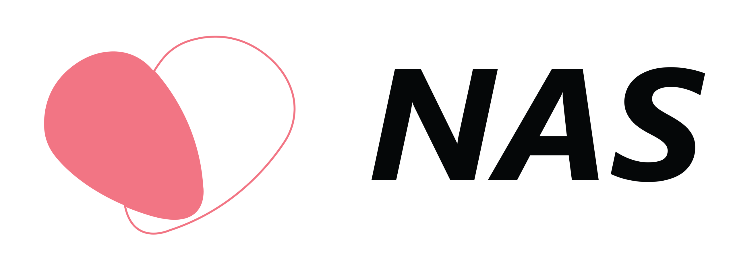 Nas Logo-01